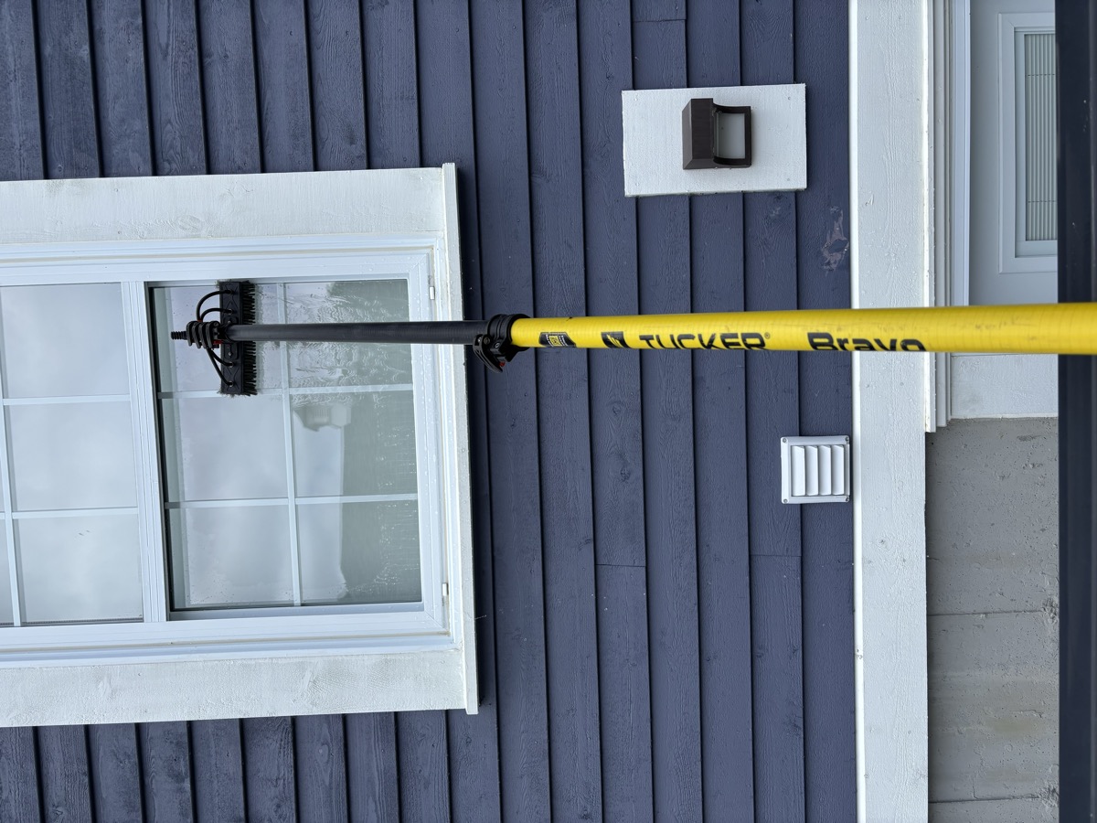 Professional window cleaning